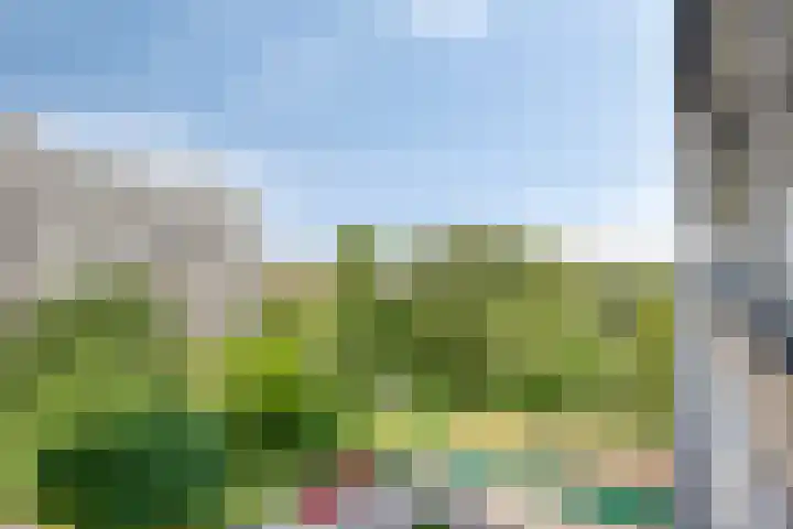 Akkerwinde 333 Capelle aan den IJssel thumbnail 5