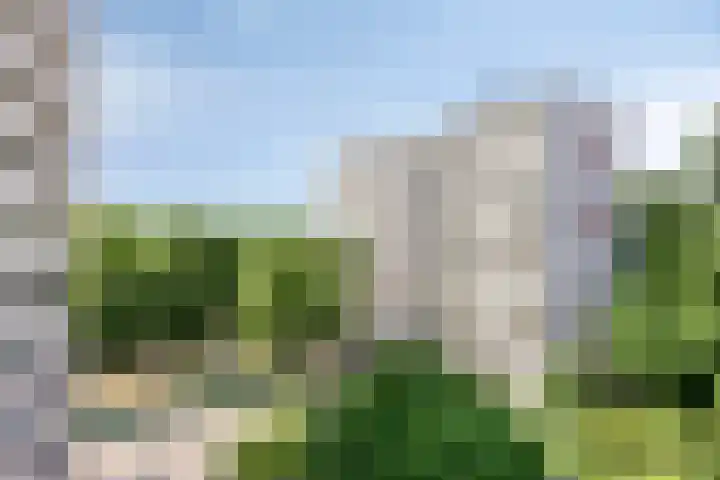 Akkerwinde 333 Capelle aan den IJssel thumbnail 7