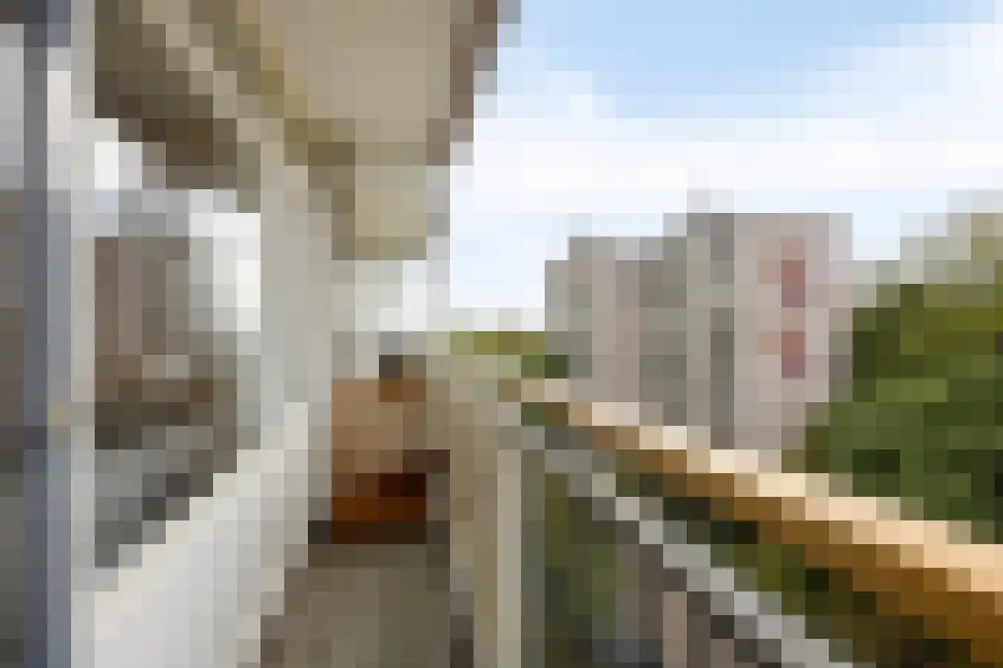 Akkerwinde 338 Capelle aan den IJssel thumbnail 25