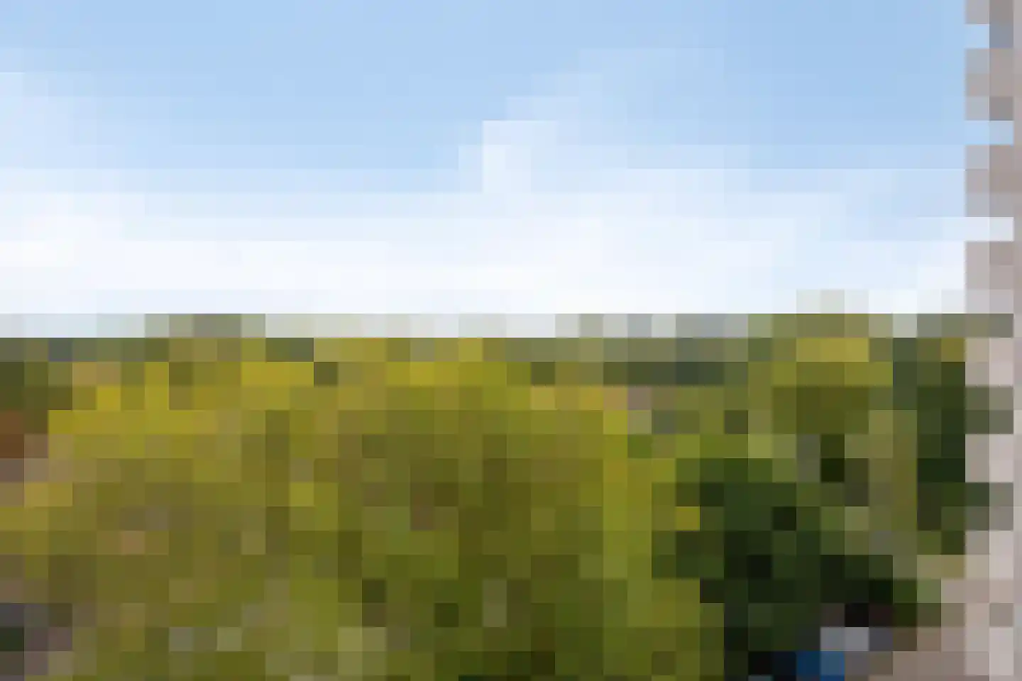 Akkerwinde 338 Capelle aan den IJssel thumbnail 27