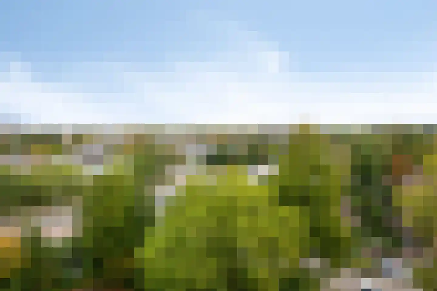 Akkerwinde 338 Capelle aan den IJssel thumbnail 28