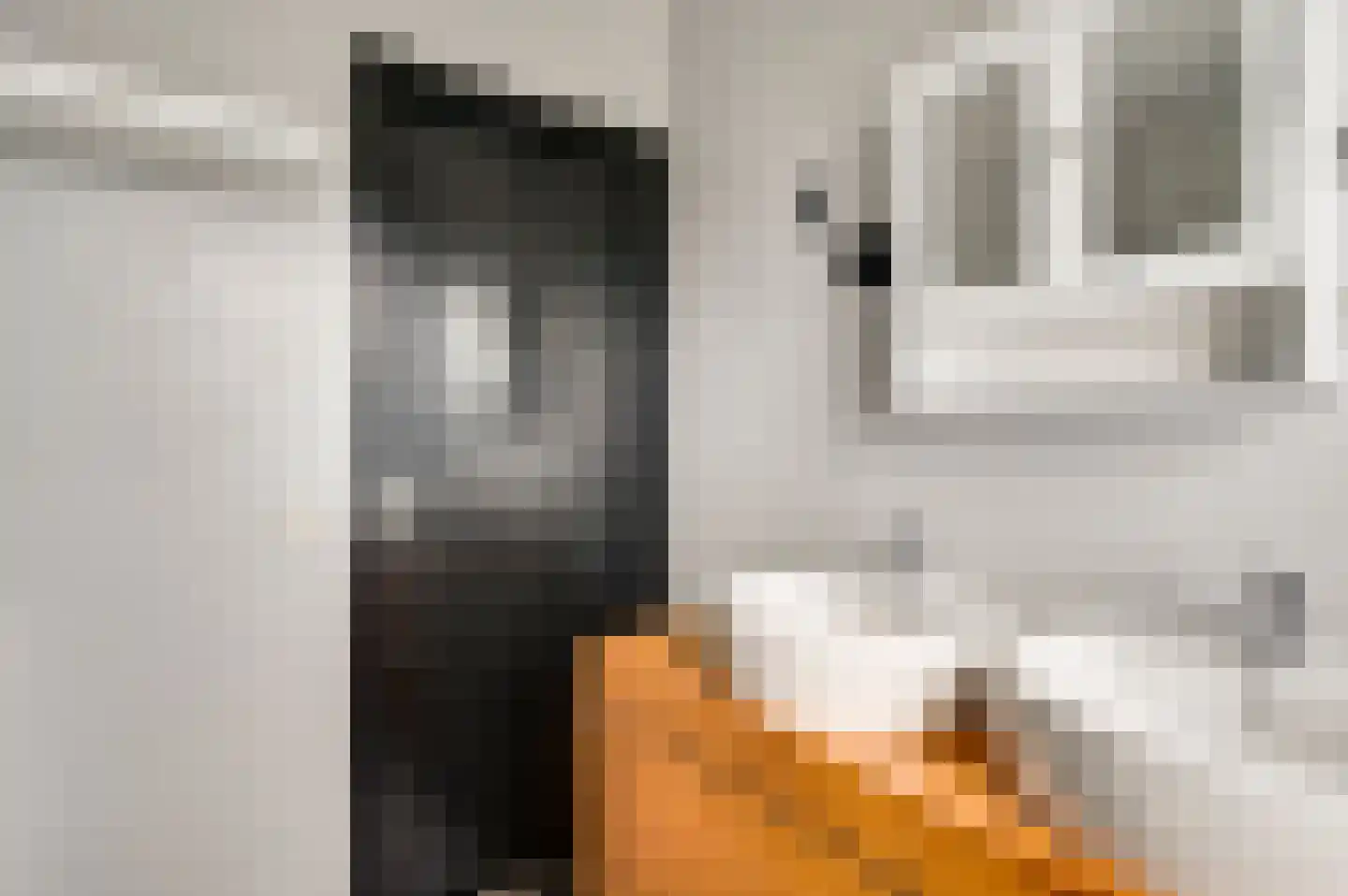 Akkerwinde 34 Herkenbosch thumbnail 21