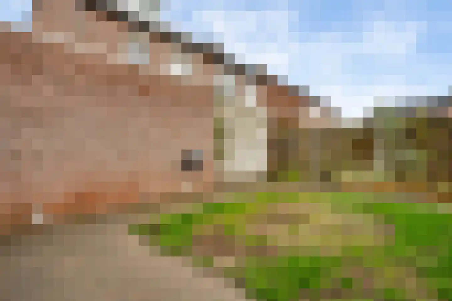 Akkerwinde 34 Herkenbosch thumbnail 28