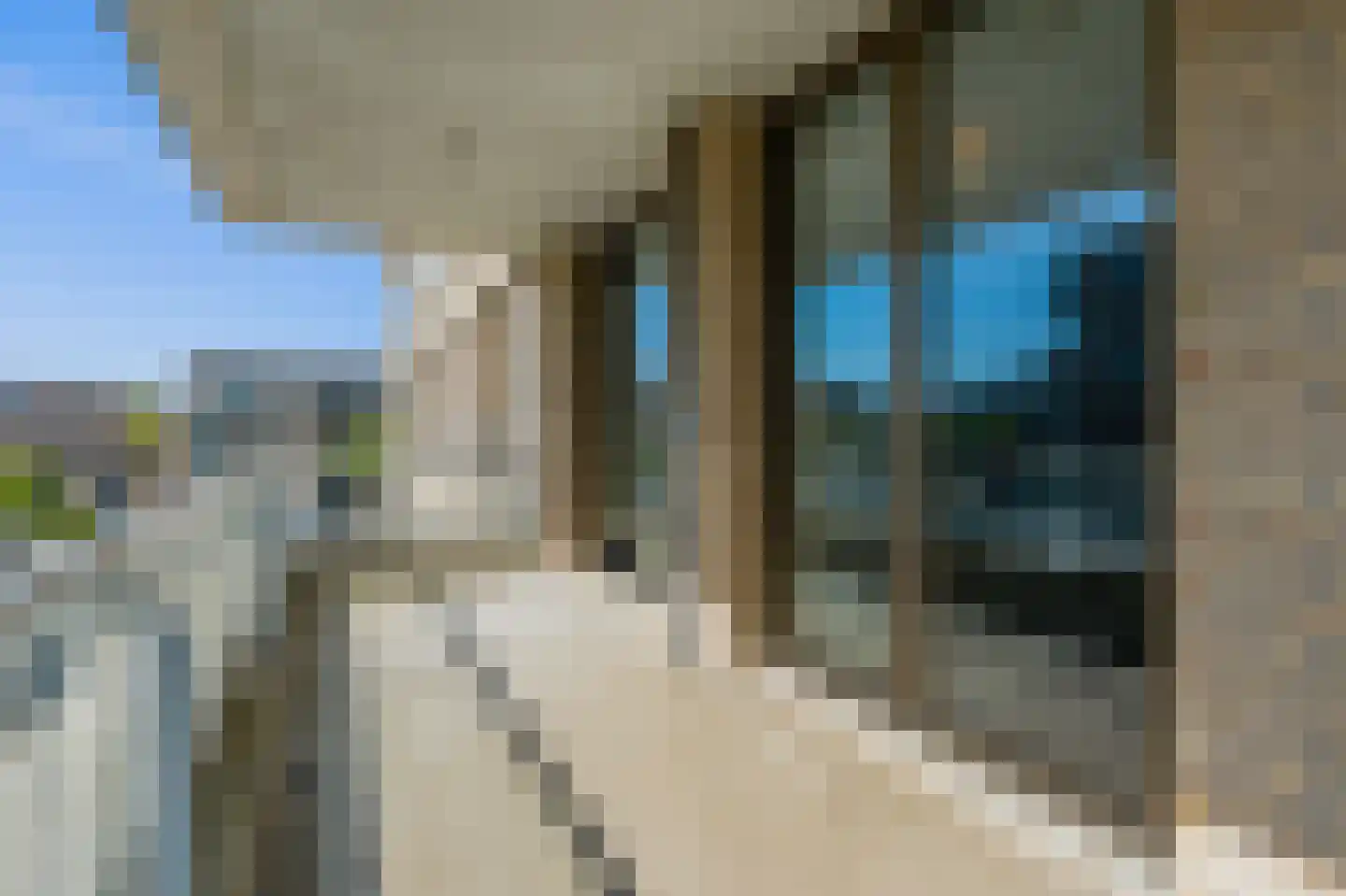 Akkerwinde 34 Noordwijk thumbnail 38