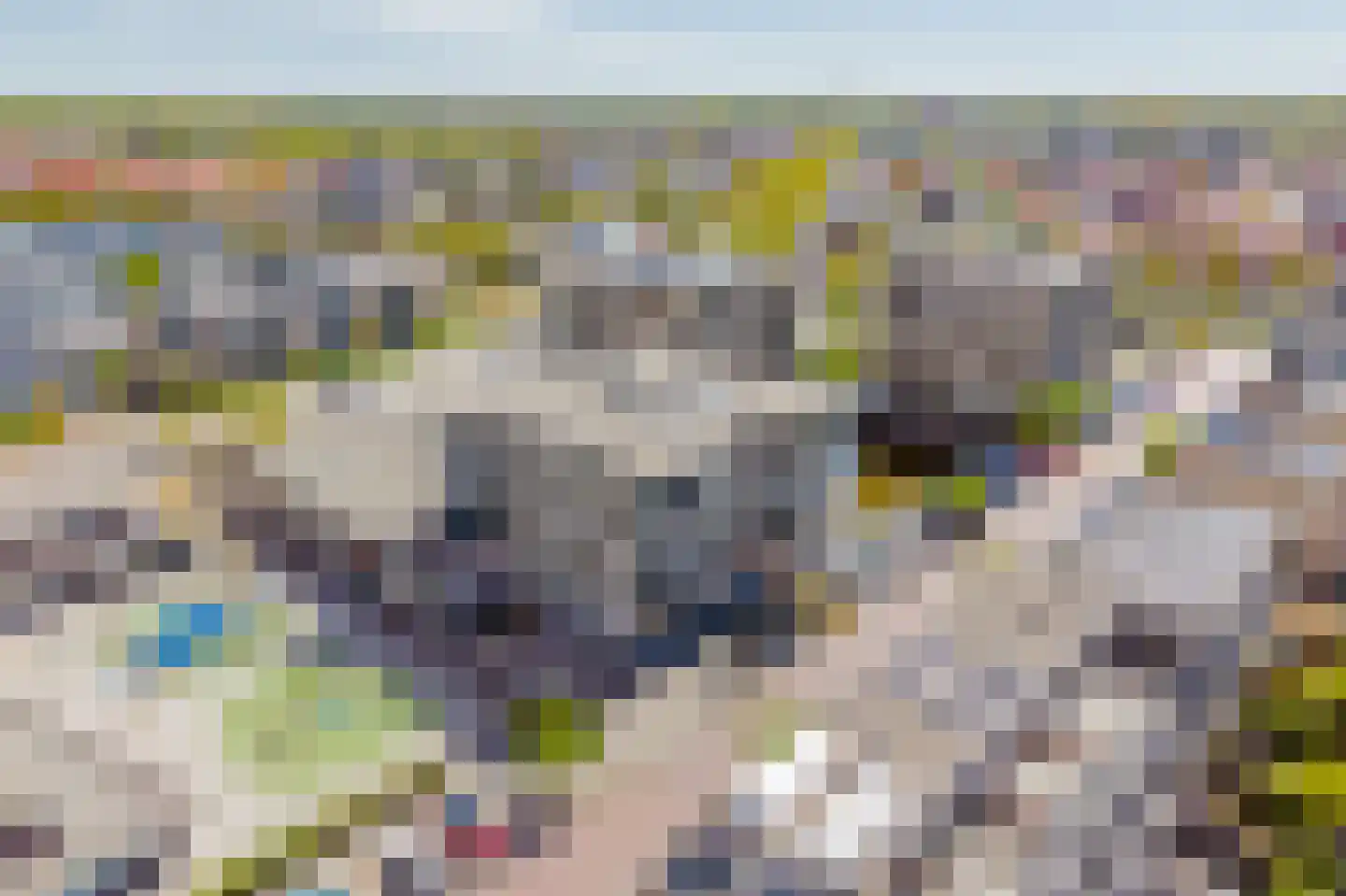 Akkerwinde 34 Noordwijk thumbnail 48