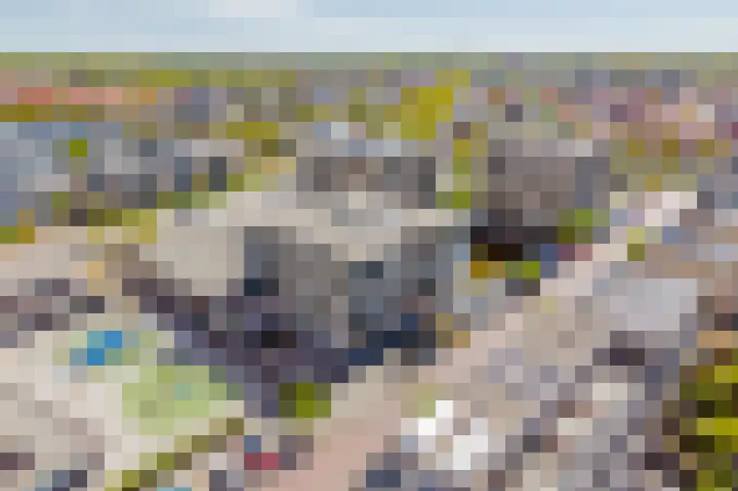 Akkerwinde 34 Noordwijk thumbnail 49