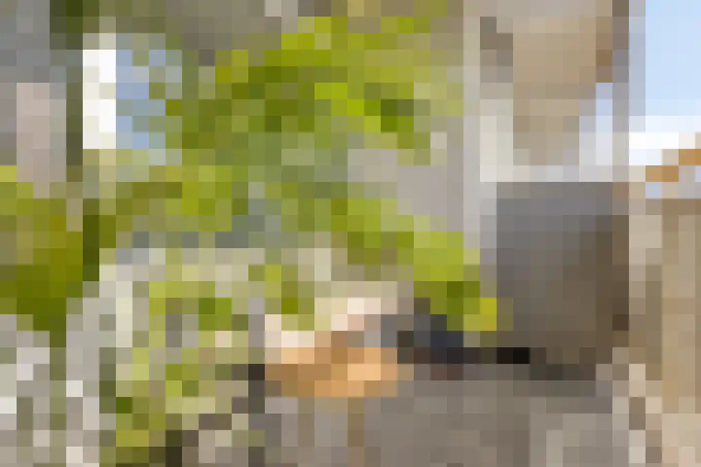 Akkerwinde 349 Capelle aan den IJssel thumbnail 18