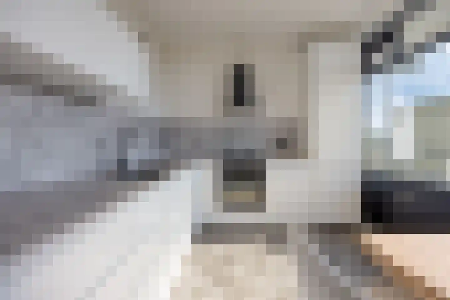 Akkerwinde 349 Capelle aan den IJssel thumbnail 8