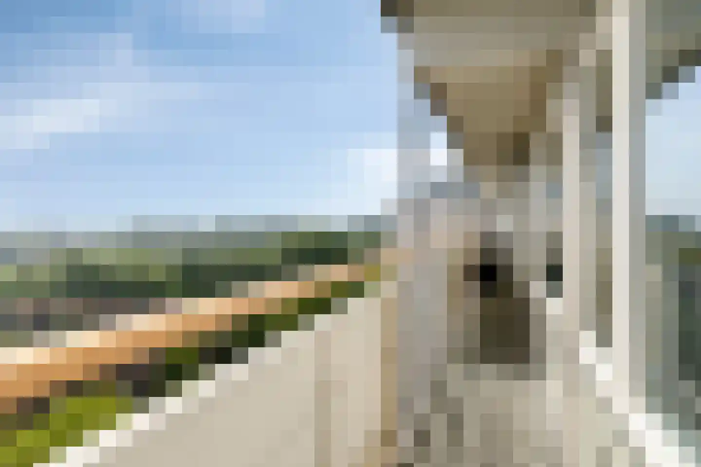 Akkerwinde 350 Capelle aan den IJssel thumbnail 16