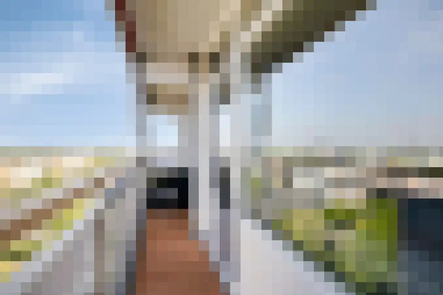 Akkerwinde 350 Capelle aan den IJssel thumbnail 9