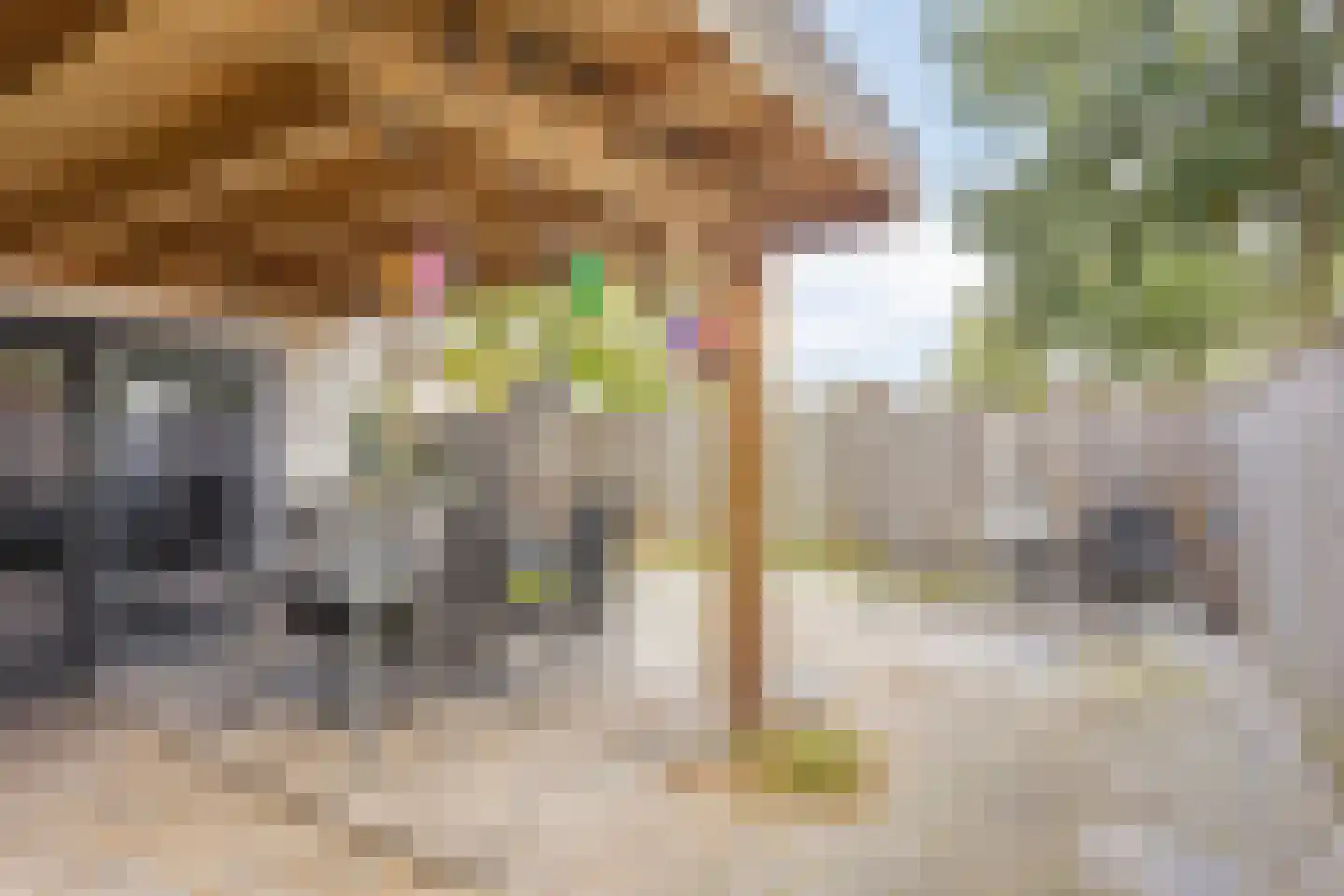 Akkerwinde 36 Schaijk thumbnail 33