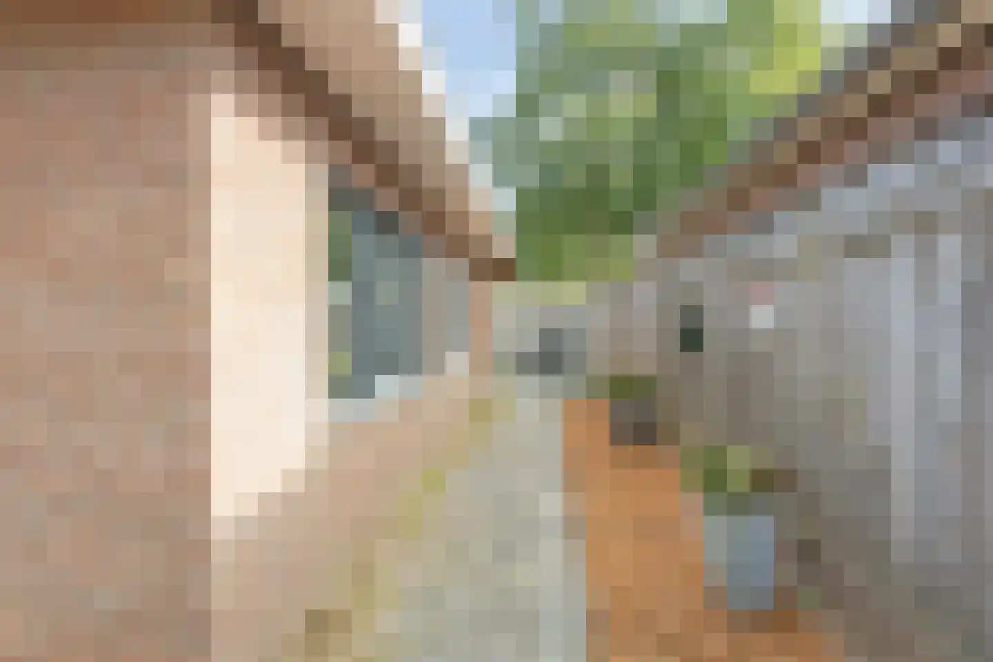 Akkerwinde 36 Schaijk thumbnail 35