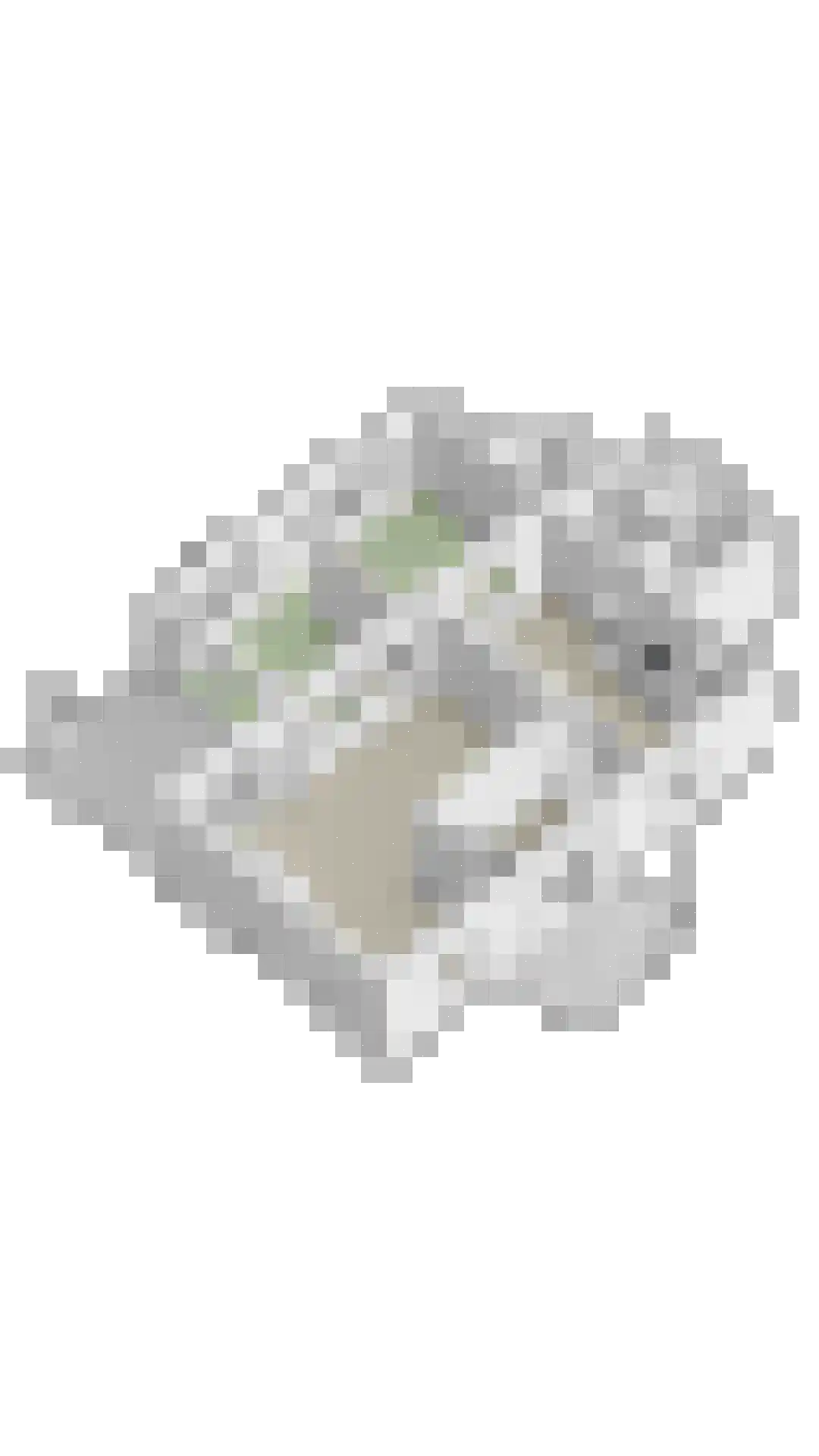 Akkerwinde 36 Schaijk thumbnail 44