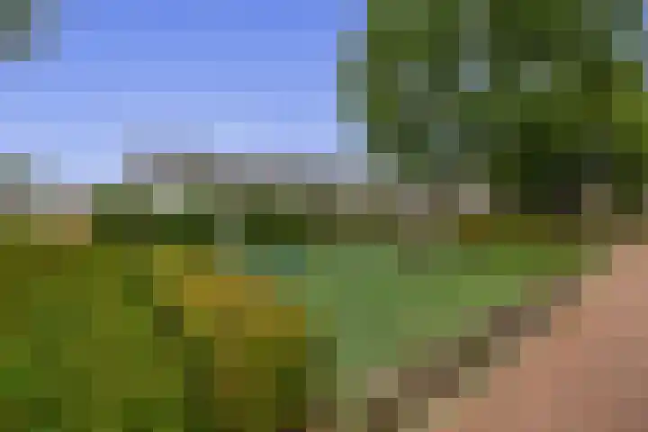 Akkerwinde 36 Waddinxveen thumbnail 34