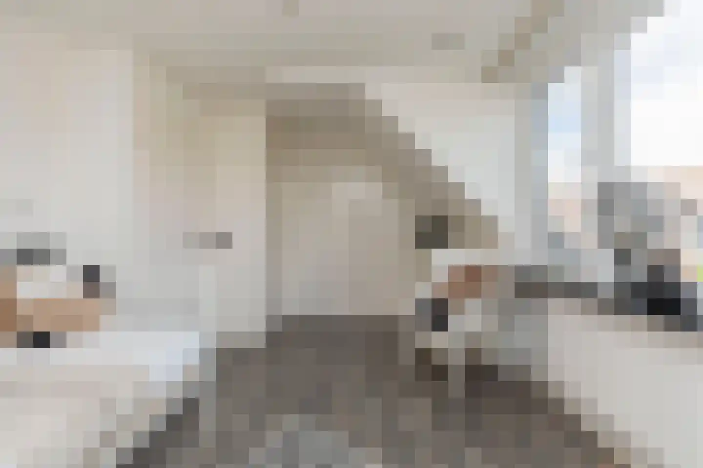 Akkerwinde 37 Alblasserdam thumbnail 22