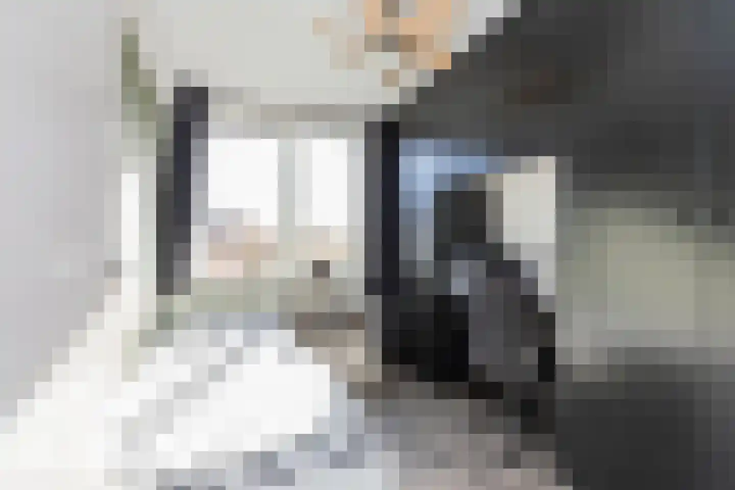 Akkerwinde 37 Alblasserdam thumbnail 32