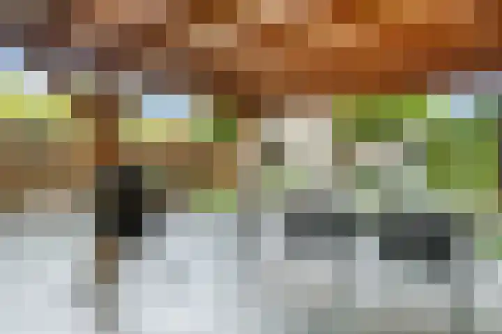 Akkerwinde 4 Nijverdal thumbnail 28