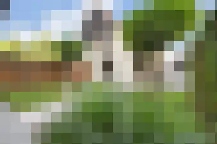 Akkerwinde 4 Nijverdal thumbnail 29