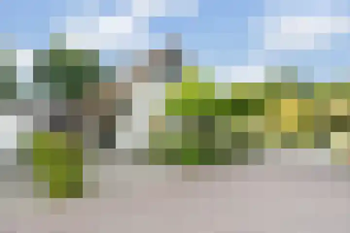 Akkerwinde 4 Nijverdal thumbnail 30