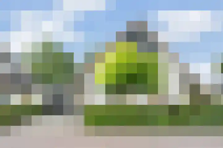 Akkerwinde 4 Nijverdal thumbnail 31