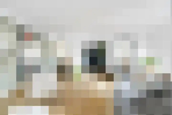 Akkerwinde 4 Nijverdal thumbnail 6
