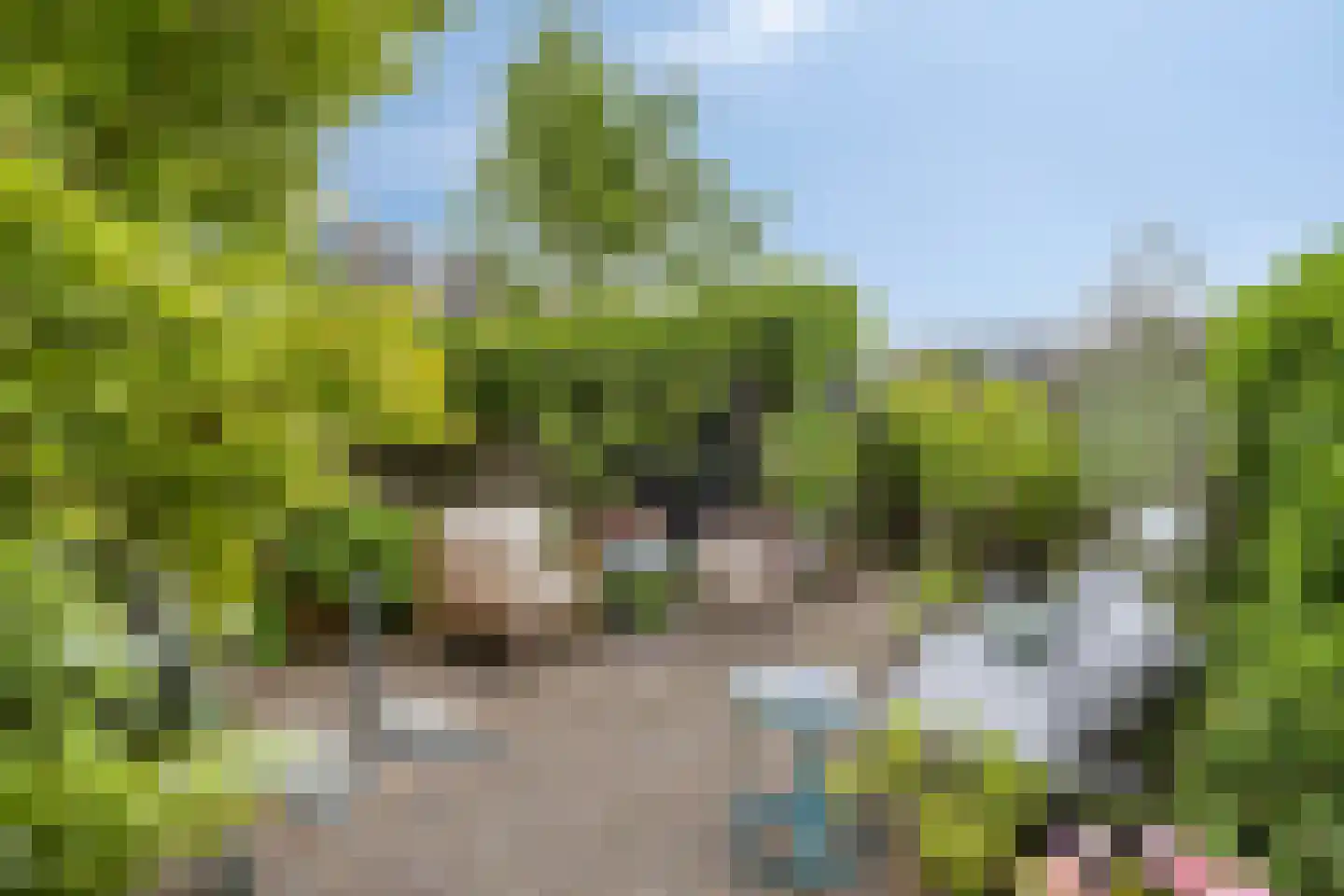 Akkerwinde 41 Zwaag thumbnail 5