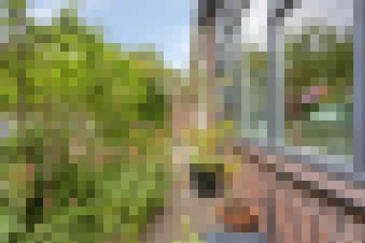 Akkerwinde 41 Zwaag thumbnail 6