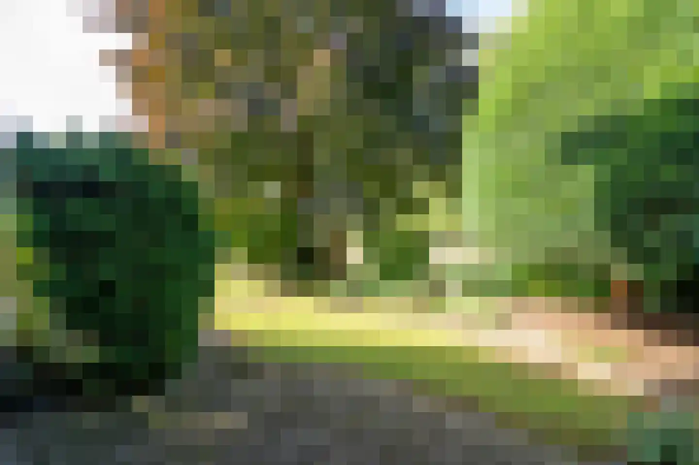 Akkerwinde 44 Culemborg thumbnail 40