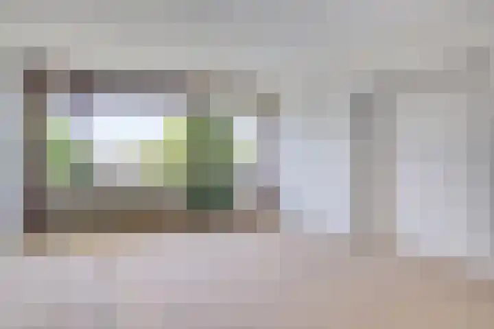 Akkerwinde 45 Capelle aan den IJssel thumbnail 10