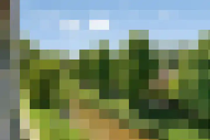 Akkerwinde 45 Capelle aan den IJssel thumbnail 14
