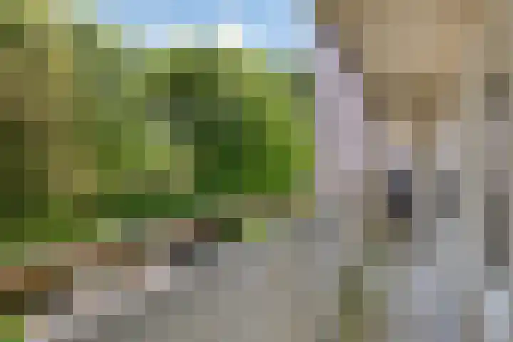 Akkerwinde 45 Capelle aan den IJssel thumbnail 18