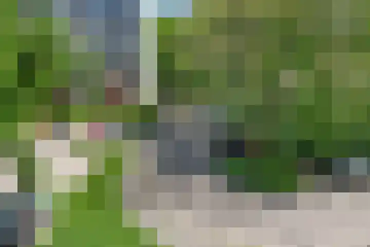 Akkerwinde 45 Capelle aan den IJssel thumbnail 20