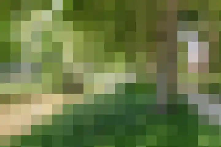 Akkerwinde 45 Capelle aan den IJssel thumbnail 34