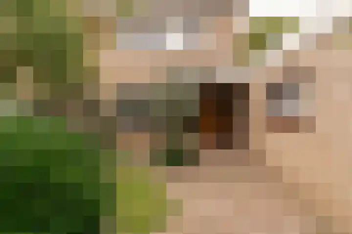 Akkerwinde 45 Culemborg thumbnail 5