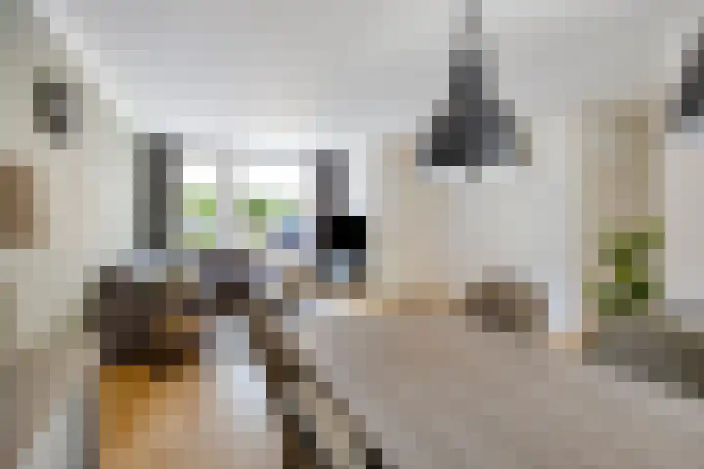 Akkerwinde 45 Goirle thumbnail 11