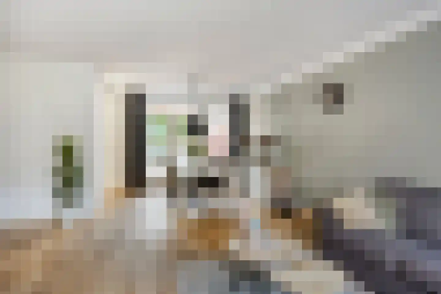 Akkerwinde 45 Goirle thumbnail 9