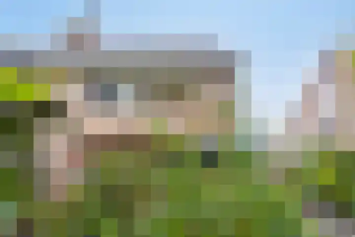 Akkerwinde 46 Culemborg thumbnail 32