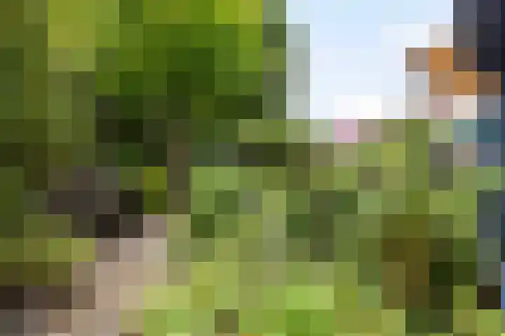 Akkerwinde 46 Culemborg thumbnail 5