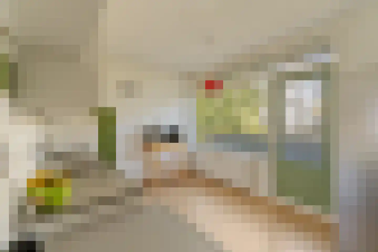 Akkerwinde 48 Capelle aan den IJssel thumbnail 15