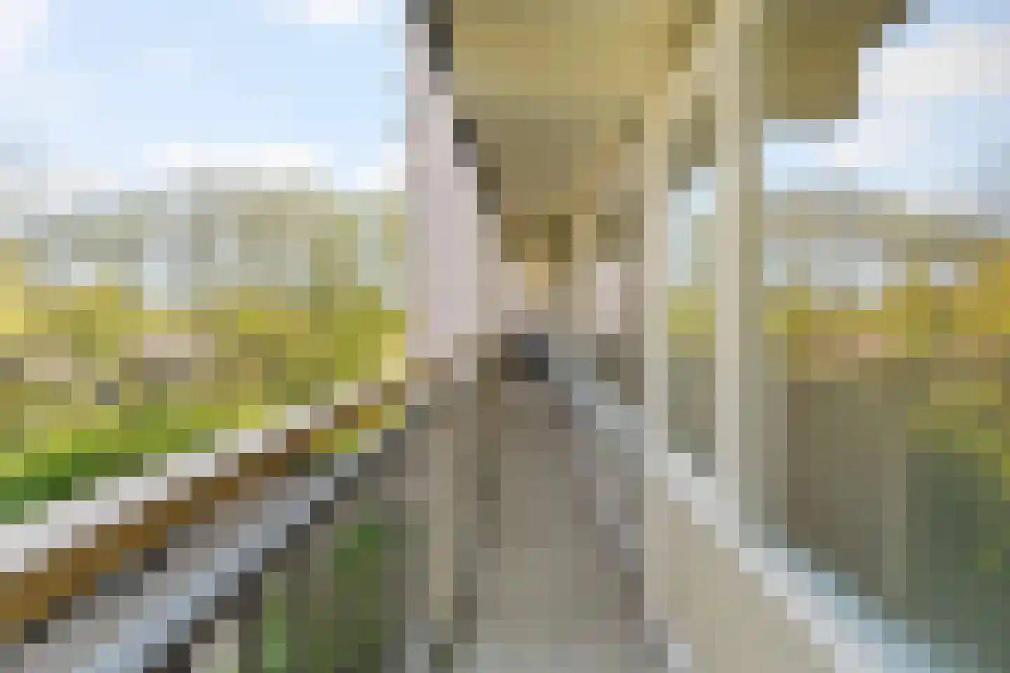 Akkerwinde 48 Capelle aan den IJssel thumbnail 17