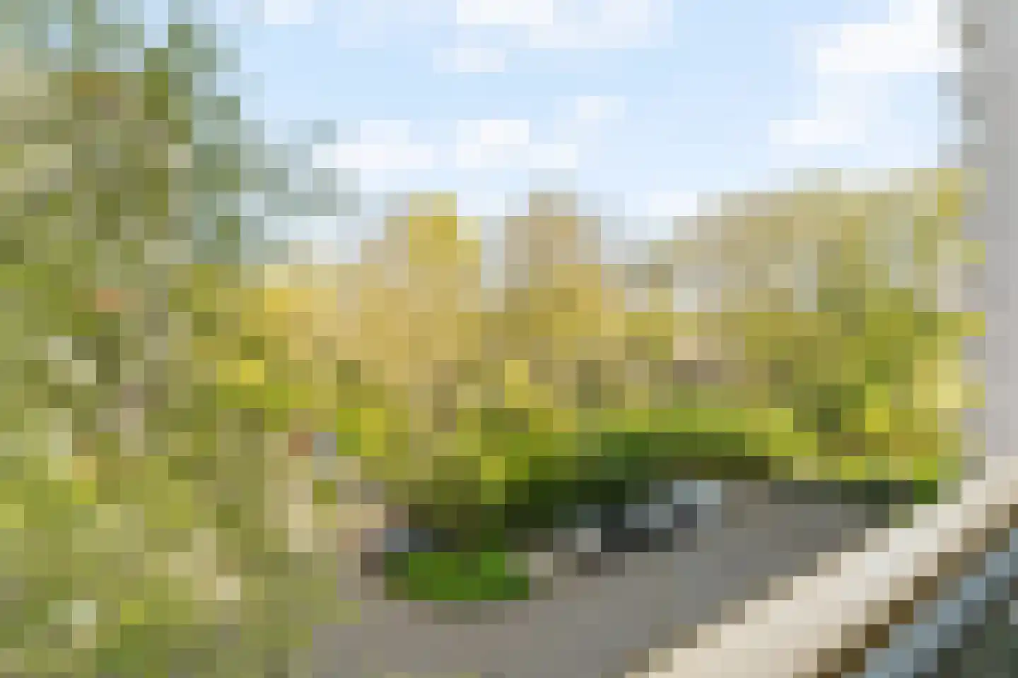 Akkerwinde 48 Capelle aan den IJssel thumbnail 18