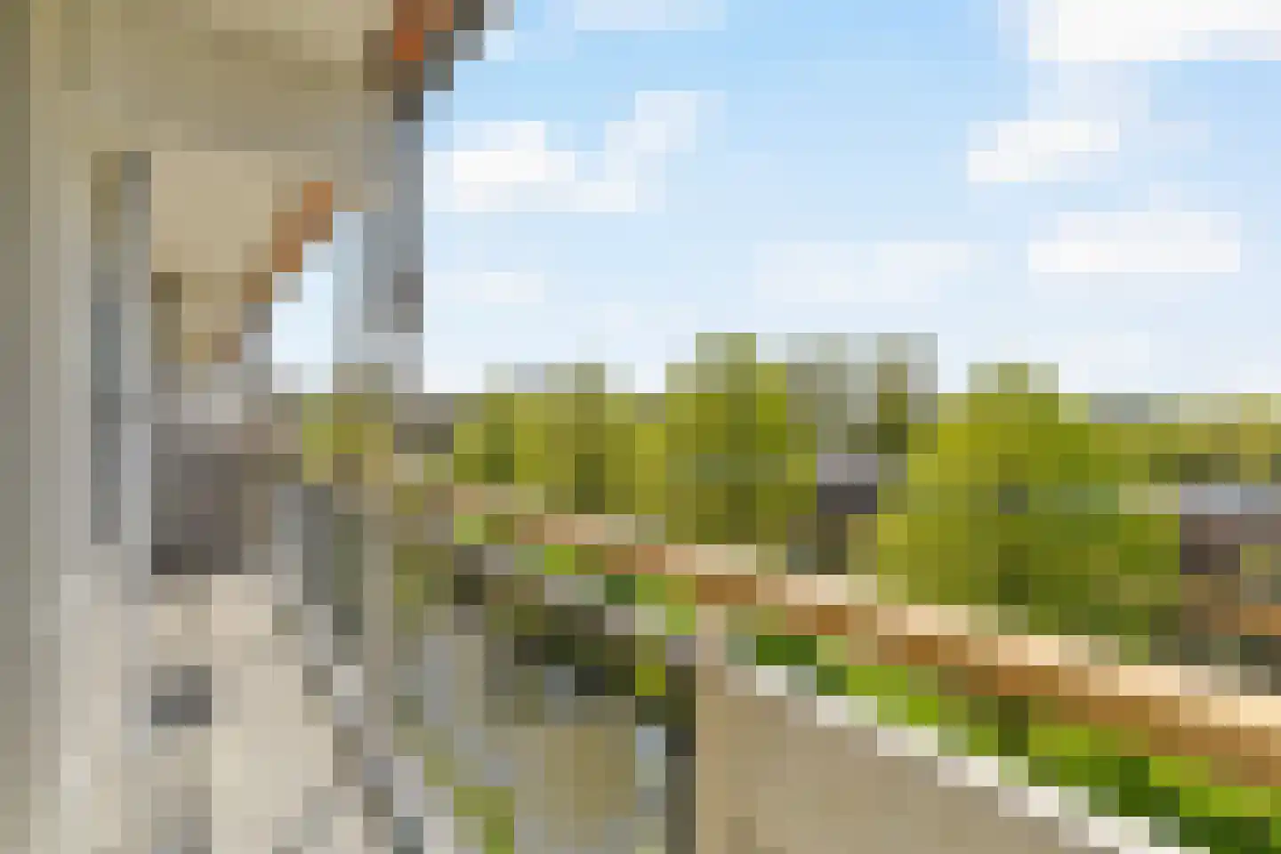 Akkerwinde 48 Capelle aan den IJssel thumbnail 31