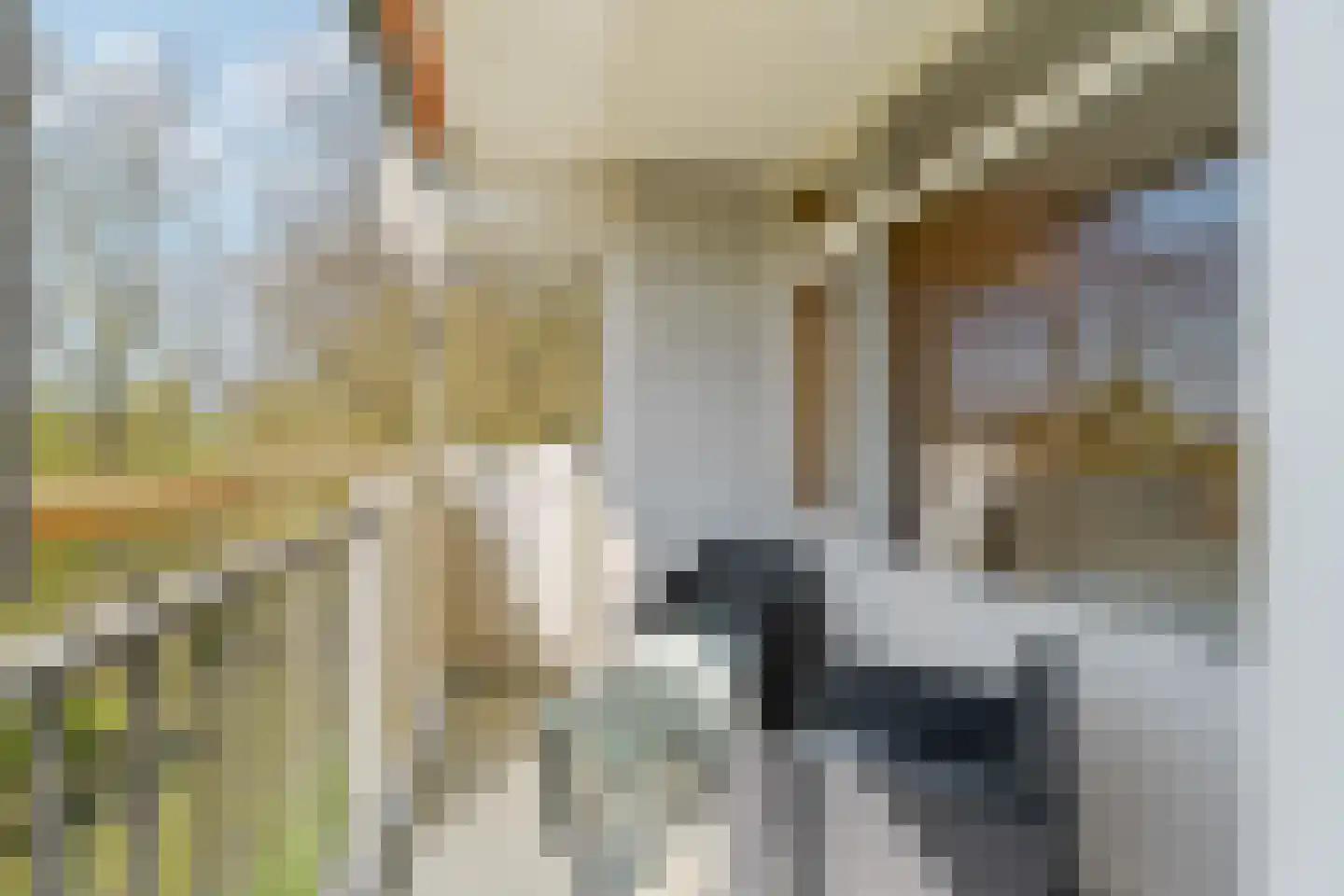 Akkerwinde 48 Capelle aan den IJssel thumbnail 32