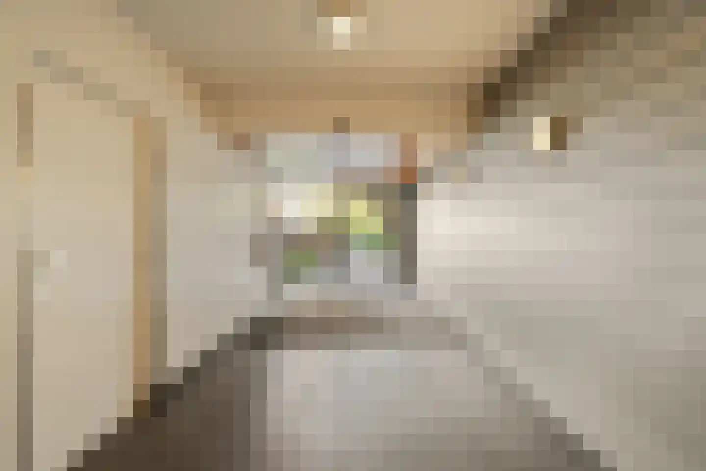 Akkerwinde 48 Capelle aan den IJssel thumbnail 8