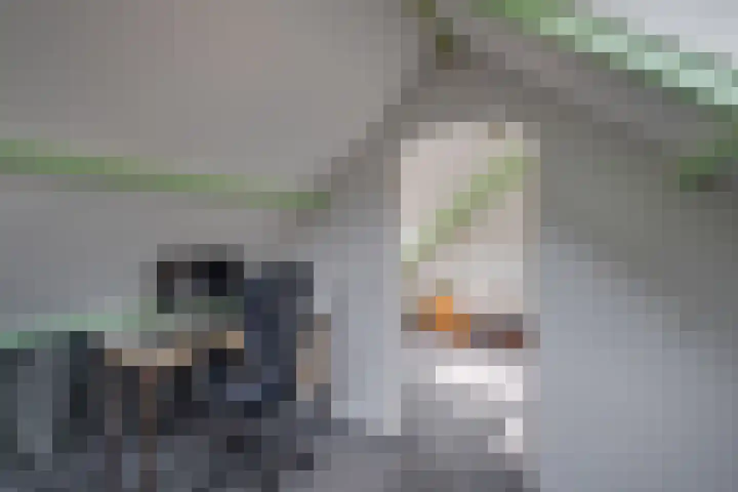 Akkerwinde 5 Lochem thumbnail 22