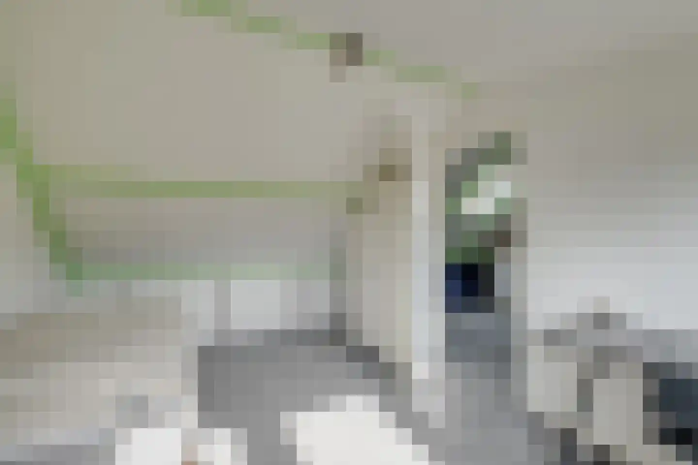 Akkerwinde 5 Lochem thumbnail 24