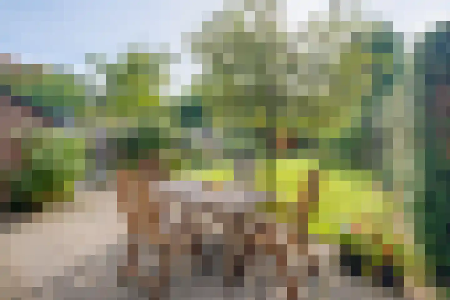 Akkerwinde 5 Lochem thumbnail 26