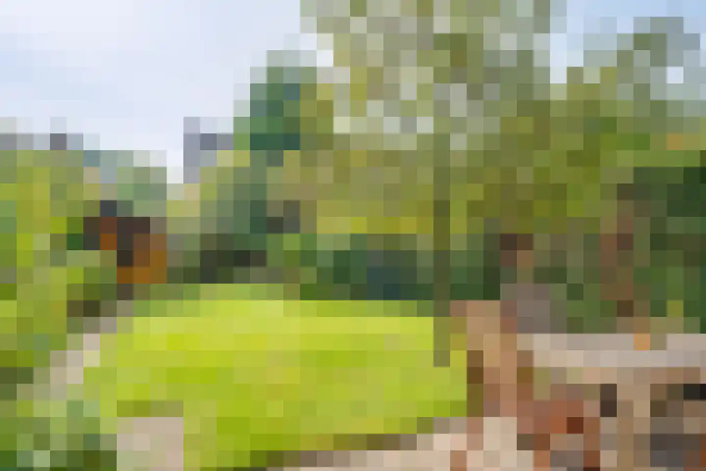 Akkerwinde 5 Lochem thumbnail 29