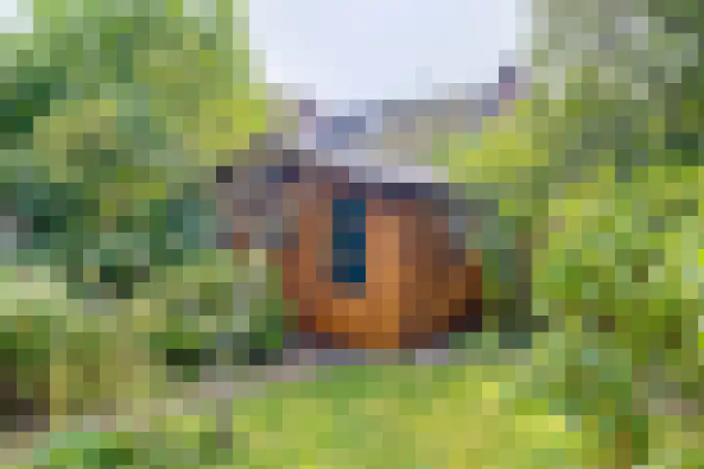 Akkerwinde 5 Lochem thumbnail 30