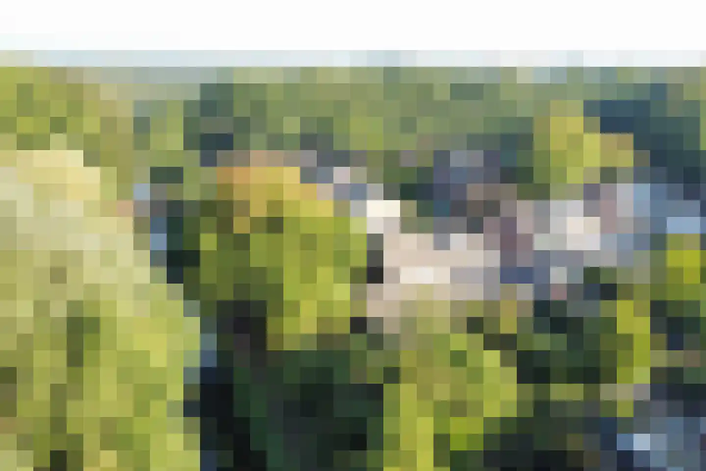 Akkerwinde 5 Lochem thumbnail 31